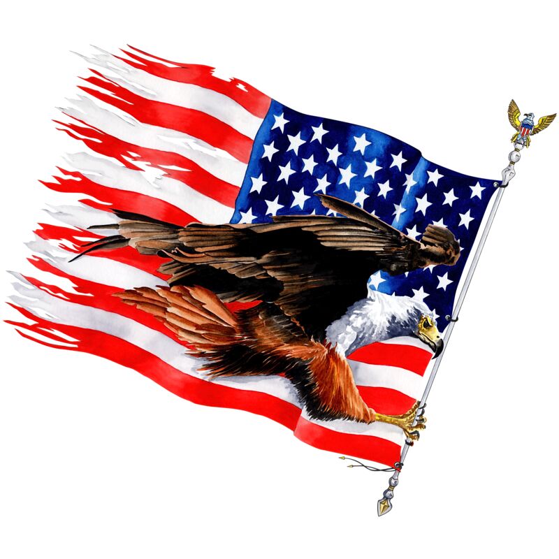 Patriotic 16 Thumbnail